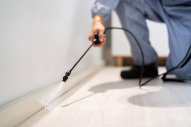 Rodent Entry Point Assessment in Weeping Water