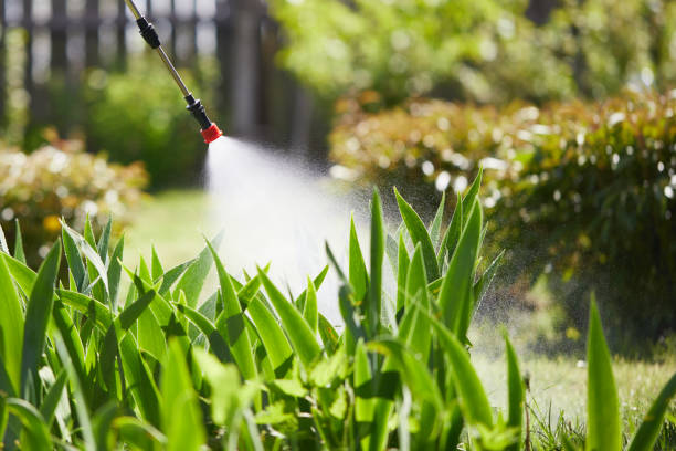 Tamper-Resistant Bait Stations for Rodents in Weeping Water