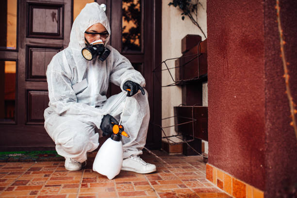 Attic and Crawl Space Rodent Treatment in Weeping Water