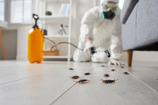 Commercial Rodent Management in Weeping Water